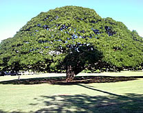 ラジオ収録 193cm 115kg